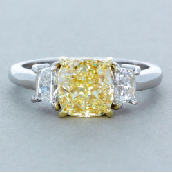 f2742-oc_-_straight_on